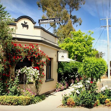 CocknBull Boutique Hotel Echuca Extérieur photo
